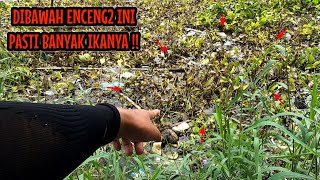 TERLIHAT MASIH UTUH‼️KEMUNGKINAN BESAR MASIH BANYAK IKAN DI SPOT INI || mancing ikan NAHOL MANIA