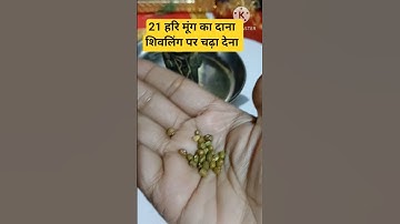 21 मूंग का दाना शिवलिंग पर चढ़ा देना#upay #trending #astrology #sivling