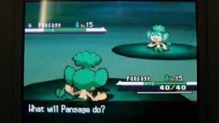 Pokeon Black n White How To Get All 3 Monkey Pkmn Pansage, pansear, And Panpour