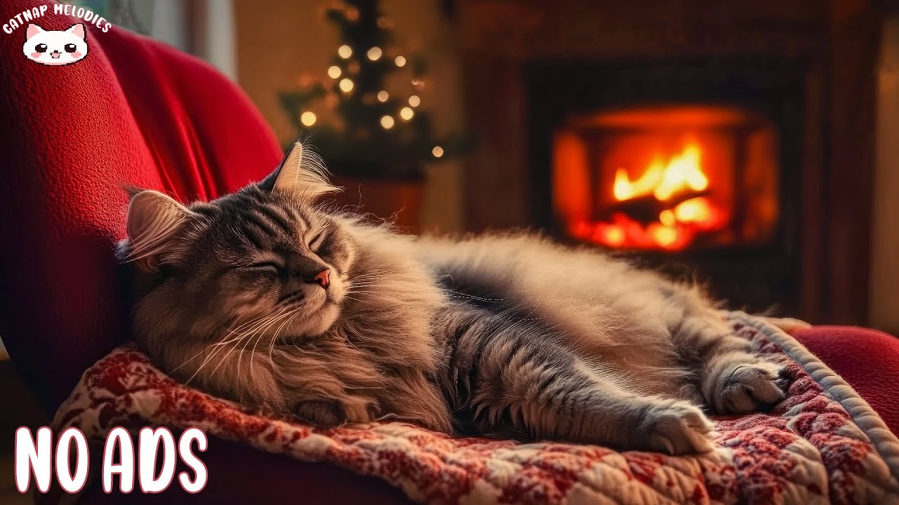 Peaceful Music for Cats 🐱 Relaxing Sounds for Deep Sleep & Healing Insomnia