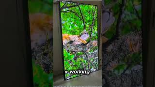 Sony 75 Inch TV Panel Repair in Vizag | Panel Short Issue Fixed | TV Repair Visakhapatnam