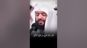سورة البروج الشيخ #وديع اليمني
