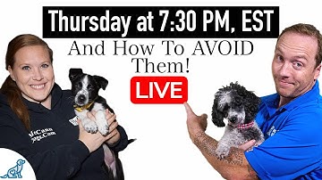 5 COMMON Training Mistakes New Dog Owners Make