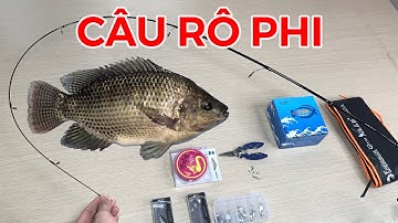 900k Câu Cá Rô Phi - Bộ cần Câu Máy Câu Cá Rô Phi Bằng Mồi Giả