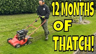 Rubbish Lawn? TITIVATE Your Lawn Instead Of The Whole 9 Yards by Daniel Hibbert Lawn Expert 17,865 views 3 weeks ago 7 minutes, 14 seconds