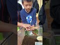 🦎トカゲとたわむれる