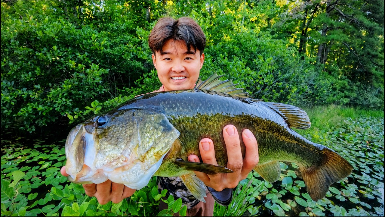 This Hidden Forest Pond Has GIANT Fish