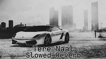 Tere Naal (Slowed Reverb) Zohaib Amjad