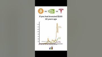 Bitcoin Vs Nvidia vs Tesla if you invested $100 in 10 years ago💸📈 #bitcoin #nvidia #tesla #stocks