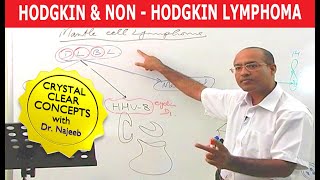 Hodgkin's vs Non Hodgkin's Lymphoma | Pathology🩺