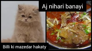 how to make nihari || Billi ki mazedar hakaty