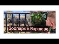 Польша 2022. Зоопарк в Варшаве.Куда пойти с ребёнком в Варшаве? #польша