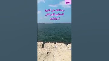 #قرآن #قران_كريم #قران #راحة_نفسية #ارح_قلبك #تلاوة_خاشعة
