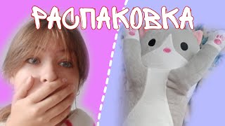 Распаковка кота-батона / 07.09.23