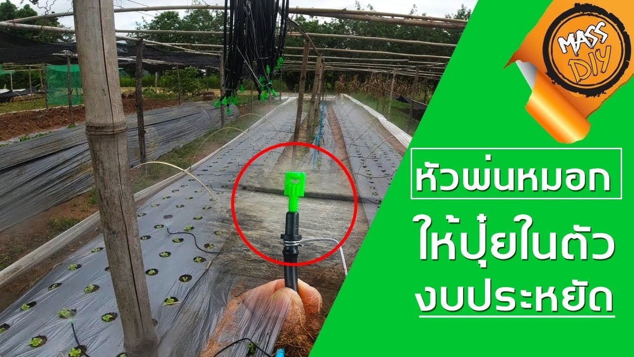 หัวพ่นหมอก และให้ปุ๋ยในตัว หัวสเปรย์แบบนี้ดีสุด โคตรถูก