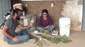 Cactus "Flesh" Cleans Up Toxic Water - Science Nation