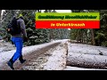 ❄🌡Frostig kalte Wintertour in Unterkirnach | MoosWaldGeher | Schwarzwälder Qualitätsweg