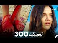 الوردة السوداء الحلقة 300 الوردة السوداء الحلقة 300