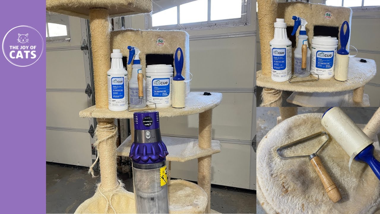 How To Clean A Used Cat Tower