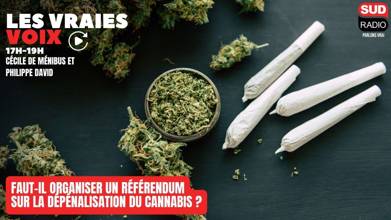 Faut-il organiser un référendum sur la dépénalisation du cannabis ?