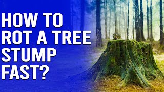 How to Rot a Tree Stump Fast - 5 Effective Methods by Trim That Weed - Your Gardening Resource 1,324 views 1 month ago 2 minutes, 21 seconds