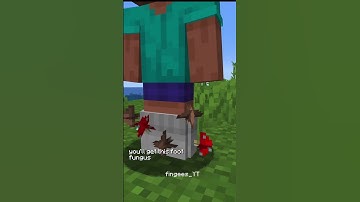 I Added Foot Fungus to Minecraft