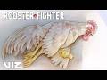 Piyoko to the rescue! 🐥 | Rooster Fighter | VIZ Media