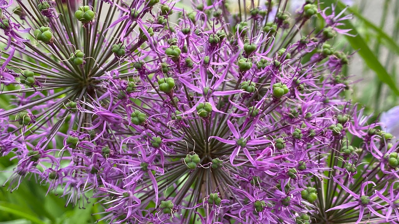 ремонт интернета кабель заход бизнес центр - YouTube