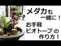 メダカも一緒に！お手軽ビオトープの作り方！