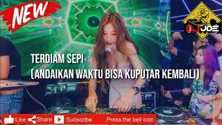 Download Lagu Terdiam Sepi Remix (Andaikan Waktu Bisa Kuputar Kembali) #REMIXLIRIK MP3