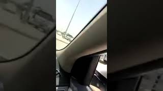 شاهد مطارده مثيرة لثور هائج في السعودية