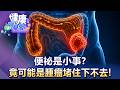 「便祕」是小事？竟可能是腫瘤「堵住」下不去！【57健康同學會】20260809｜蕭敦仁、譚敦慈、夏子雯、江中博、徐俊相、張予馨