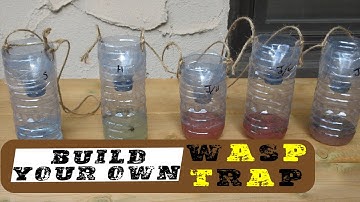 DIY Wasp Trap - What Works Best??