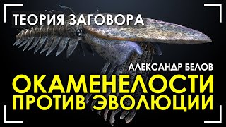 Окаменелости против эволюции. Александр Белов