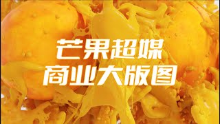 全面解析芒果超媒商业版图超媒