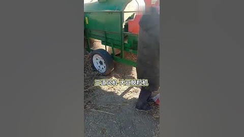 Red Kidney Bean Red Bean perfectly threshed by 5HST-2000 Large Bean Thresher driven by tractor PTO