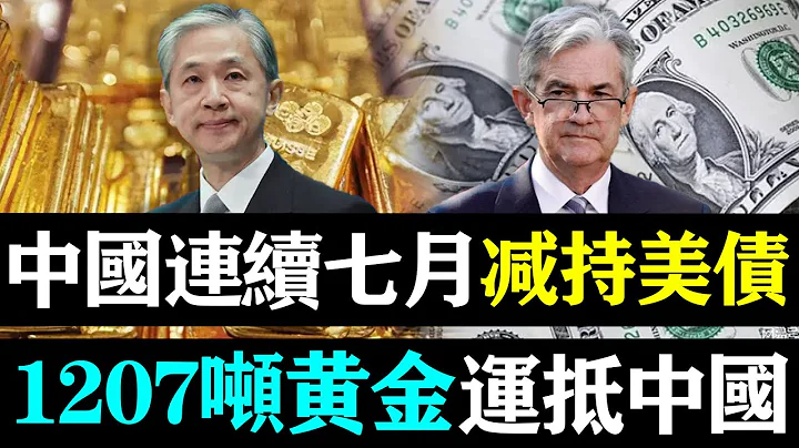 中国连续七个月减持美债，1207吨黄金运抵中国，万亿资金或涌入中国！| 时政焦点 | - 天天要闻