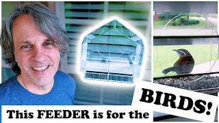 Families and Pets LOVE this Window Bird Feeder!