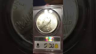 Why do you think someone graded this Peace Dollar? #shorts #rarecoins #pcgs #coincollecting