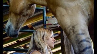 Incredible Experience of Animal Communication with Horses
