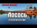 Русская рыбалка 4(рр4/rf4) - река Волхов. Лосось.