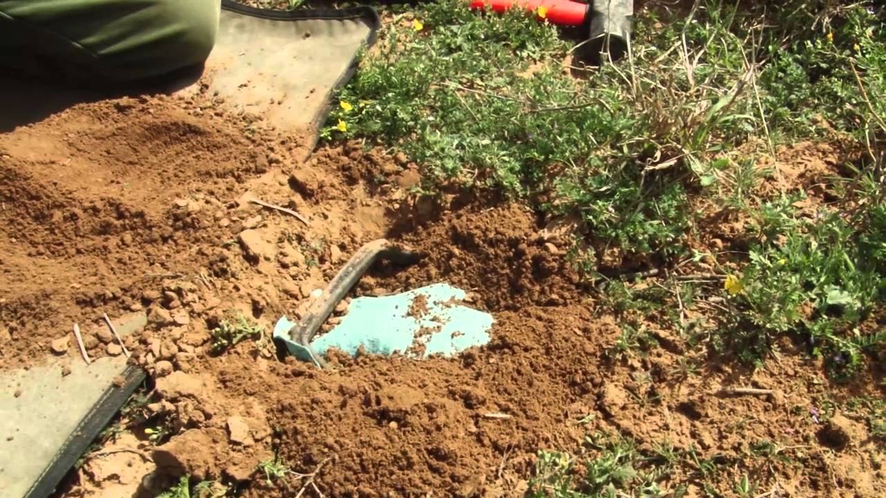 Trapping TV Episode 13 Texas Predator Trapping II YouTube