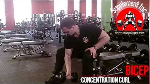Biceps - Concentration Curl Exercise Demo and Video @ Supplement Inc