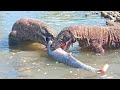 Komodo Swims and Catches Fish and then Swallows it for a While