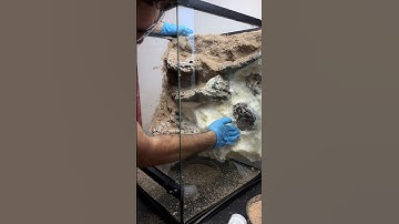 Creating a homemade waterfall with the ZooMed waterfall kit 💦 #terrarium #vivarium #paludarium