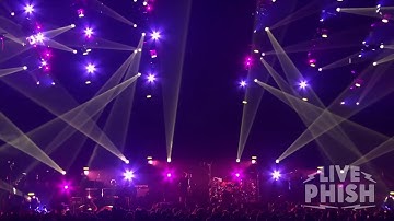 Whammy II - Octave Down - 7/25/17 Fuego