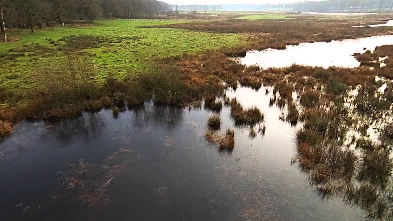 Nature Cold Friesland