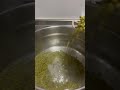(ASMR)Green beans #shorts #satisfying