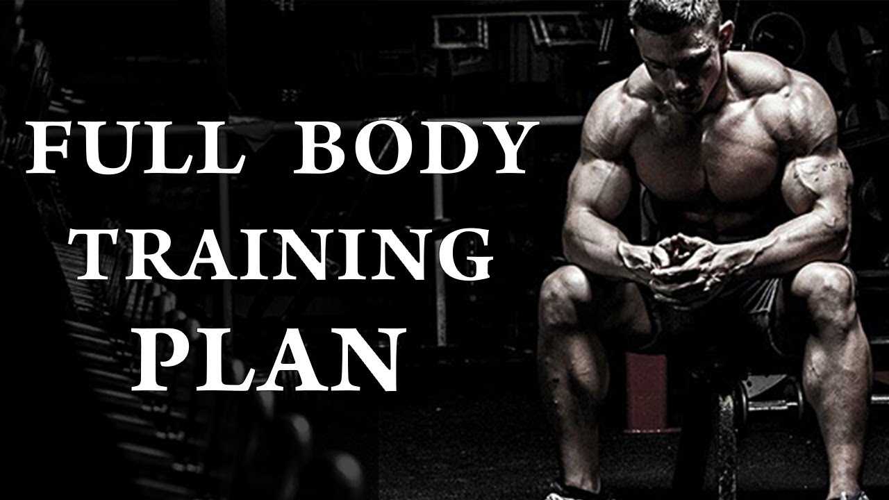 Building Muscle (tamil): Full Body Workout Plan - YouTube