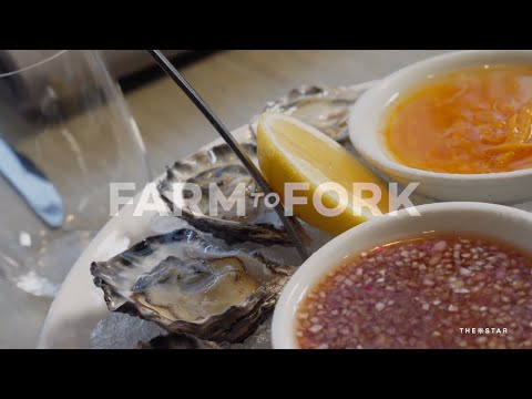 Farm To Fork: Flying Fish